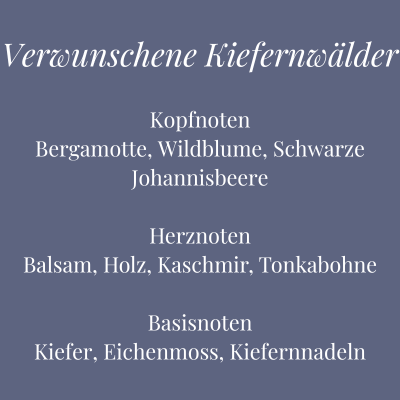 Bild mit Duftübersicht der Kerze Verwunschene Kiefernwälder – waldiger Duft mit Kiefer, Johannisbeere und Tonkabohne – Aromadeko