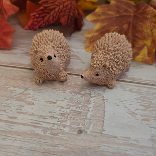 Igel-Duo sitzend
